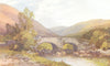 DEVON. Fingle Bridge 1908 old antique vintage print picture
