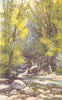 DEVON. Chudleigh Glen 1908 old antique vintage print picture