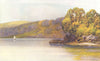 DEVON. The Dart. Sharpham woods. River Dart 1908 old antique print picture
