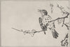 JAPAN. Bird. By Shunboku 1890 old antique vintage print picture