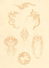 JAPAN. Patterns for Graving on Metal 1890 old antique vintage print picture