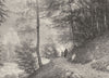HAUTES- PYRÉNÉES. Forét dans la vallée du Bastan 1900 old antique print