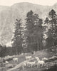 HAUTES- PYRÉNÉES. Sur le Sentier du lac de Gaube 1900 old antique print