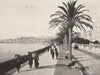 ALPES- MARITIMES. Cannes. Boulevard de la Croisette 1900 old antique print