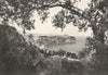 MONACO. Le Rocher de Monaco Vu Entre les Oliviers 1900 old antique print