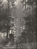 VOSGES. Forêt des Vosges 1900 old antique vintage print picture