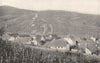 ALSACE. Vignoble Alsacien 1900 old antique vintage print picture