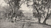 ALGERIA. Sidi- bou- médine, Près de Tlemcen 1900 old antique print picture