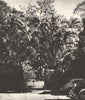 BRAZIL. Rio de Janeiro. Largo do Boticario (2)  1951 old vintage print picture