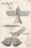 AVIATION. Balloons 1880 old antique vintage print picture
