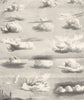 LANDSCAPES. Clouds; Inosculation of clouds real & Apparent 1880 old print