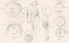 CONCHOLOGY.Bivalve shells,Lamplike;nucleus;peristome;columella;umbilicus 1880