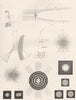 SCIENCE. Diffraction of light (1)  1880 old antique vintage print picture