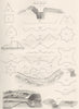 FORTS. Fortification; Field works 1880 old antique vintage print picture