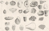 GEOLOGY. Geology; Carboniferous; Silurian 1880 old antique print picture