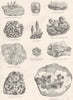 MINERALS.Crystals Cu Glauce;Moss Agate;Red crystal;Iron Pyrites;Magnetic 1800