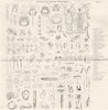 ANIMALS. Organs of Motion in Animals (2)  1800 old antique print picture