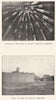 NIGERIA. Ceiling of Emir Kano's Audience Chamber; Wall Zaria's Compound 1904