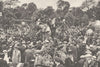 LONDON. Well- stocked zoo to delight curious. Elephants 1926 old vintage print