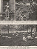 LONDON. Sheep on the Banks of the Serpentine. Park chair rental 1926 old print