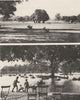 LONDON. Clapham's Common. West side and boating pond 1926 old vintage print