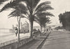 ALPES- MARITIMES. Nice. Jetee- Promenade 1895 old antique print picture