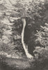 PUY- DE- DÔME. Mont- Dore. Plat a Barbe 1895 old antique vintage print picture