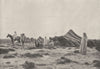 ALGERIA. Campement Désert 1895 old antique vintage print picture