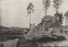 SEINE- ET- MARNE. Forêt de Fontainebleau. Cerbère du Désert 1895 old print