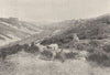 AUDE. St- Leonard- des- Bois. Buttes de Narbonne 1895 old antique print