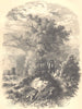 LANDSCAPES. Lisière de Bois 1852 old antique vintage print picture