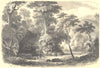 SOUTH AMERICA. Forêt vierge de l'Amérique Méridionale 1852 old antique print