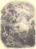 BOTANICALS. Bouleau. Betula.  (Bétulacées)  1852 old antique print picture