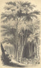LANDSCAPES. Paysage Hindou 1852 old antique vintage print picture