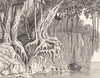 INDIA. Inde Française. Le Banyan Rives du Gange 1835 old antique print picture