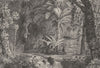 GUYANA. Guadeloupe. Forêt de la Guyane 1835 old antique vintage print picture