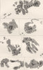ASTRONOMY. Sun Spots. Observations by Sir John Herschel in 1837 1877 old print
