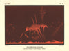 ASTRONOMY. Solar Prominences flares, Palermo, 8 July 1872.Colour lithograph 1877