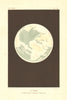 ASTRONOMY. The Earth, imagined view from space. Colour lithograph 1877 print