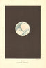 MARS. Colour lithograph. May 27, 1873. After Proctor 1877 old antique print