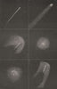 HALLEY'S COMET. Different views. Hershel. Ophiuchus, 1835-1836 1877 old print