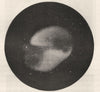 ASTRONOMY. Fox Fur Nebula. Nebula Renard. Lassell 1877 old antique print