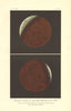 LUNAR ECLIPSE. Total & partial eclipse of the Moon. Colour lithograph 1877