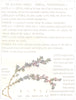 FLOWERS. Sea-Heath family. Frankeniaceae. Smooth Sea Health 1907 old print