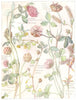 CLOVER. White Cutch, Red Purple,Strawberry Headed,Lesser Yellow,Hare's foot 1907