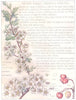 FLOWERS. rose family. Rosaceae. Hawthorn May Whitethorn 1907 old antique print