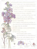 FLOWERS. Jacob's-Ladder family. Polemoniaceae. Jacob's Ladder 1907 old print