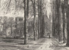 HAMPSHIRE. Winchester Cathedral 1901 old antique vintage print picture
