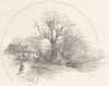 DERBYSHIRE. The Crow trees, Barrow- on- Trent 1901 old antique print picture