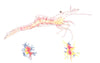 CRUSTACEANS. Pigment cells in Aesop Prawn (Hippolyte varians)  1936 old print
